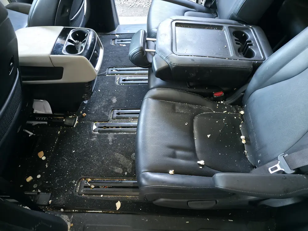 Before: complete interior