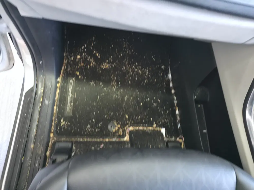 Before: carpet & mats